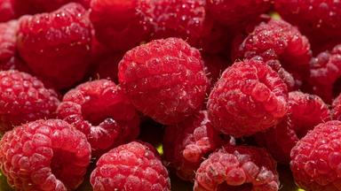 Himbeeren in einer Schale.