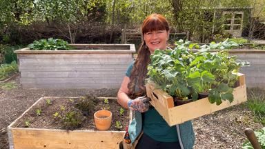 Eine Frau (Sabrina Nitsche) mit einer Kiste Pflanzen in der Hand