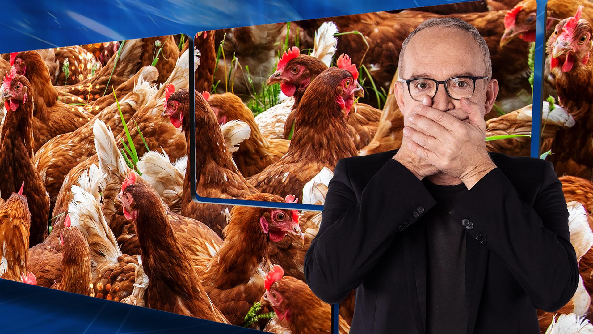 Christoph Süß steht vor einem Hintergrundbild mit Hühnern auf einer Wiese und hält sich mit beiden Händen den Mund zu