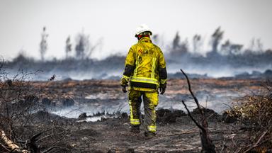 Extreme Feuer - aktuell in Belgien - hielten gleich europäische Länder in Atem .Tausende mussten vor den  Flammen fliehen. Werden solche Brände in Zukunft häufiger?