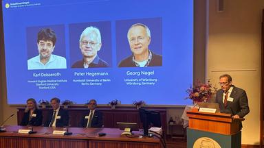  Karl Deisseroth, Peter Hegemann und Georg Nagel erhalten für ihre wegweisenden Beiträge zur Entwicklung der Optogenetik den Medizin-Nobelpreis.