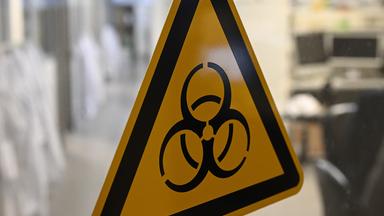 Gelbes Biohazard-Warnschild: Die Pest besitzt genetisch bedingt noch heute Pandemie-Potenzial.