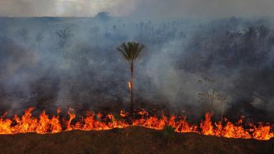 Der Amazonas ist einer der wichtigsten CO₂-Speicher der Erde und entscheidend für Klima, Artenvielfalt und Niederschläge. (Bild: Brände in Brasiliens Regenwald - zu sehen von oben)