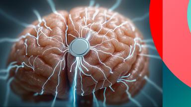 "Brain Code": von einem runden Chip auf einem künstlichen Gehirn gehen Lichtblitze aus. Können wir bald Gedanken lesen?