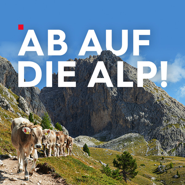 Hintergrund mit Logo