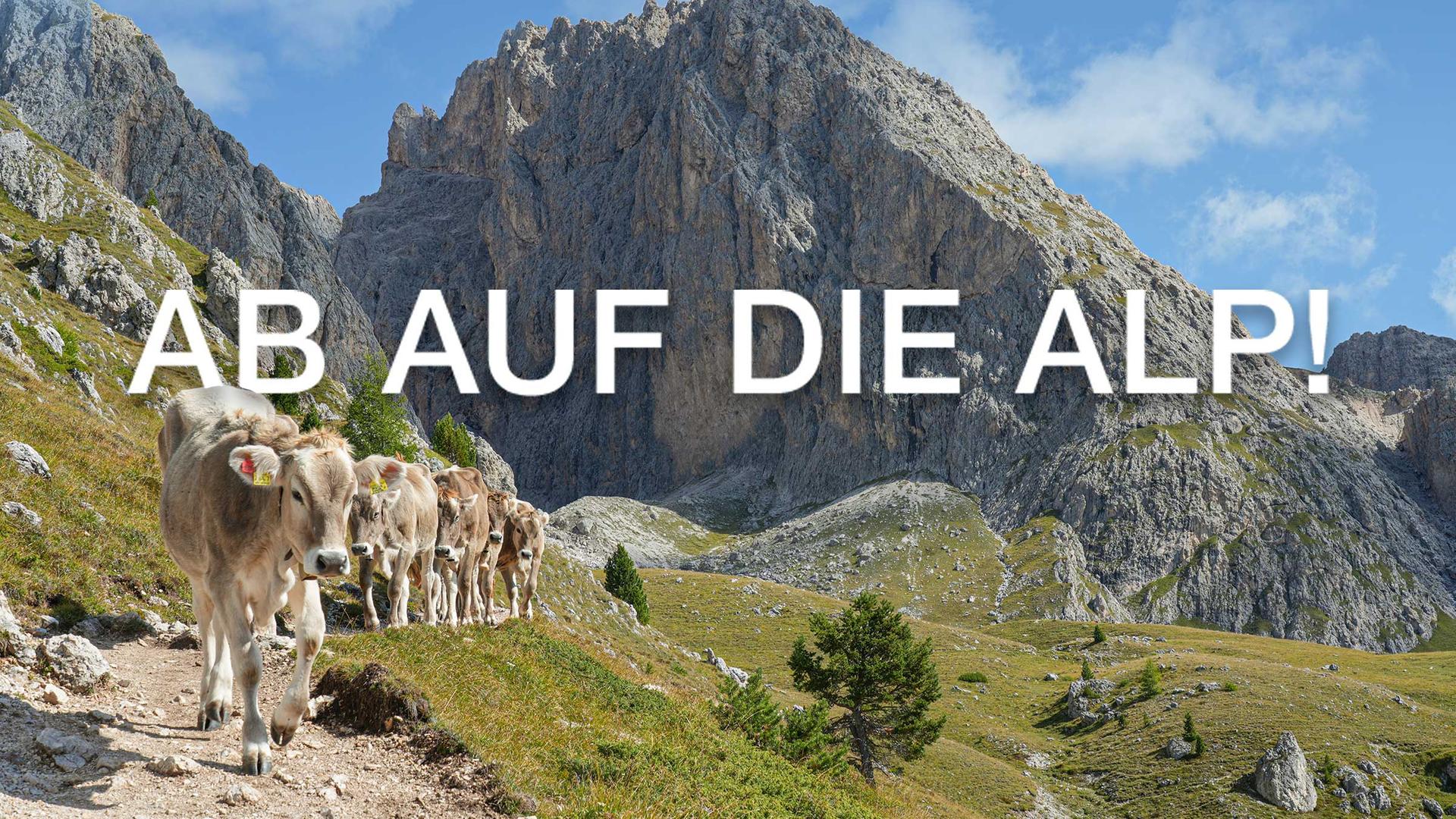 Hintergrund mit Logo