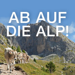 Hintergrund mit Logo