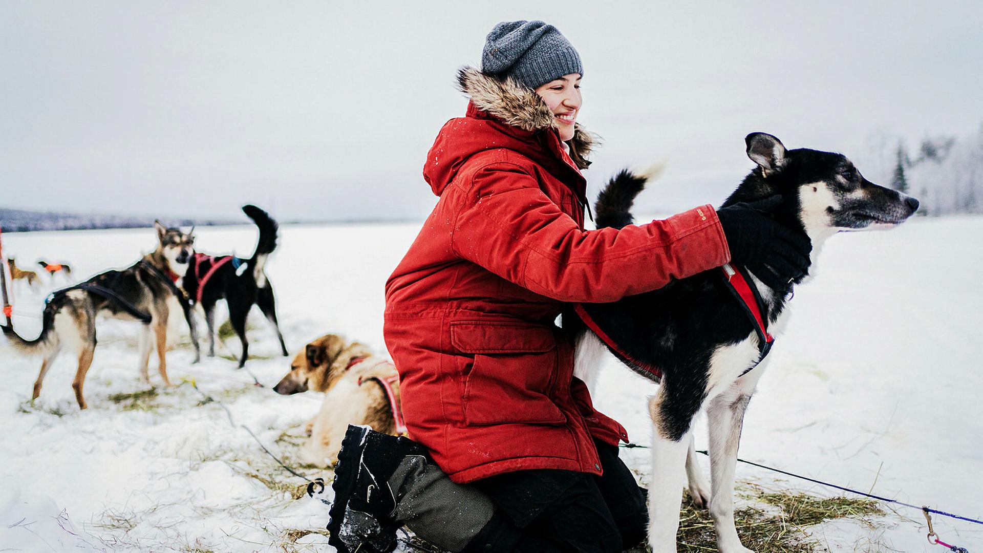 Eine Streicheleinheit für die Huskys von Martina Schweizer