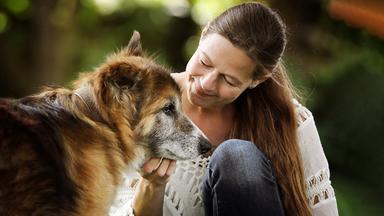 Eine Frau sitzt bei einem Hund während sie ihn anschaut und am Unterkiefer krault.