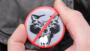 Protest-Symbol gegen Wölfe