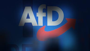 Schiftzug AfD