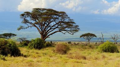 Reichtümer des Kontinent Afrika sind die einzigartige Natur und Landschaft, Tierwelt, Bodenschätze und Solarenergie der Sonne
