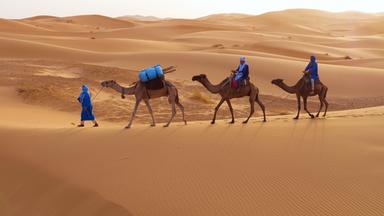 Beduinen: Bis heute ziehen Beduinen als Nomaden durch die Sahara, wobei Dromedare ihre unentbehrlichen Begleiter sind.
