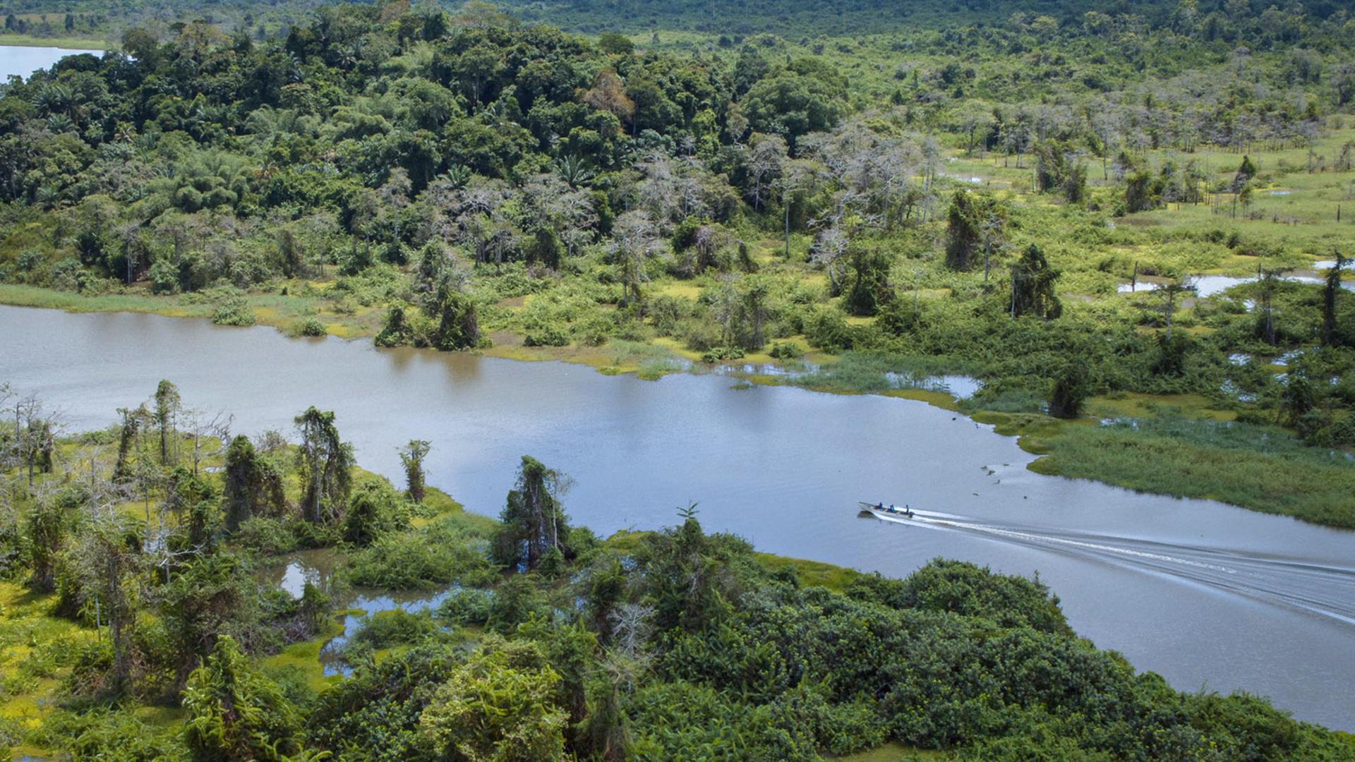 Grün gesäumter Fluss aus der Vogelperspektive