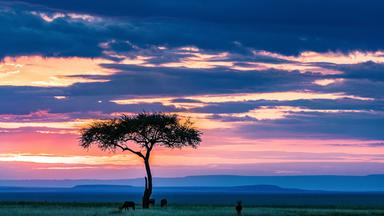 Kenias Steppe in der Abenddämmerung
