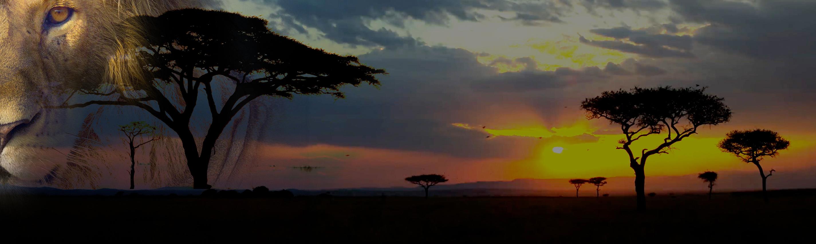 Hintergrund Sendebereich Afrikas Ikonen der Tierwelt