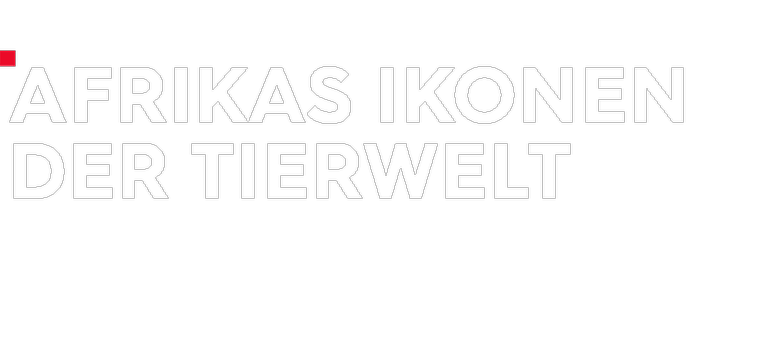 Afrikas Ikonen der Tierwelt