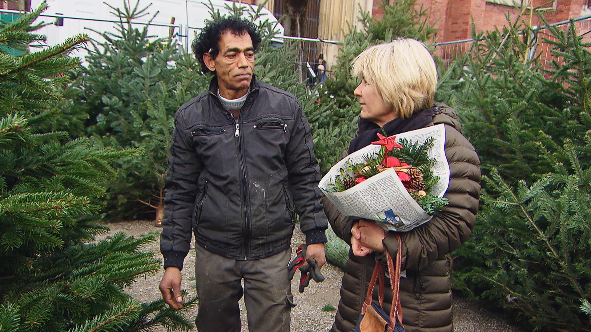 Ein Mann und eine Frau inmitten von Christbaeumen.