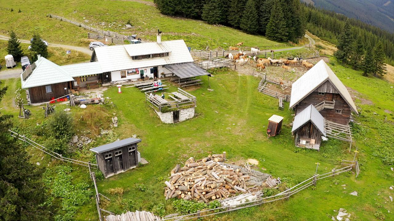 Ein Bergbauernhof mit mehreren Holzhäusern, umgeben von Weiden, auf denen Kühe grasen, und einer ländlichen Landschaft, mit dichten Wäldern im Hintergrund. 