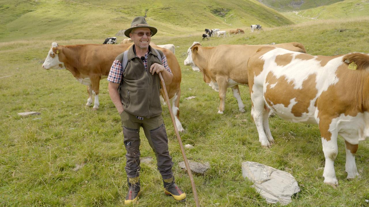 Das Bild zeigt eine alpine Weidelandschaft mit sanften, grünen Hügeln im Hintergrund. Im Vordergrund steht ein Mann mit einem freundlichen Lächeln. Er trägt eine Weste, ein kariertes Hemd und Hosen, die praktisch für die Arbeit auf der Alm sind. In seiner rechten Hand hält er einen Wanderstock. Um ihn herum grasen mehrere Rinder, die überwiegend braun und weiß sind. Im Hintergrund sind auch einige andere Kühe sichtbar. Der Boden ist mit grünem Gras und einigen Steinen bedeckt, was für die typische Almlandschaft charakteristisch ist. Die Atmosphäre ist friedlich und ländlich, was die Verbindung zur Landwirtschaft und zum traditionellen Leben auf der Alm vermittelt.