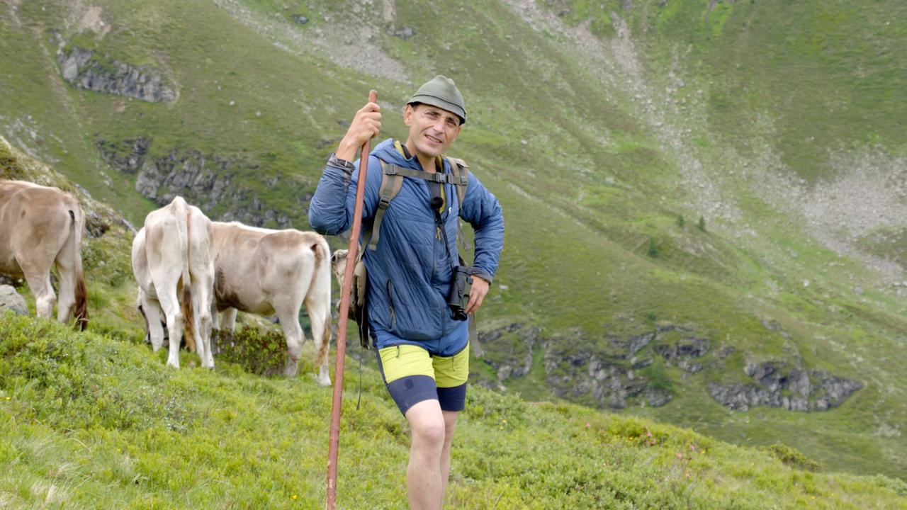 Das Bild zeigt einen Mann, der auf einer Alm in den Kitzbüheler Alpen steht. Er trägt eine blaue Jacke und kurze, hellgrüne Hosen. In seiner linken Hand hält er einen Stock und lächelt in die Kamera. Um ihn herum grasen mehrere Kühe, die teilweise im Hintergrund zu sehen sind. Die Landschaft ist grün mit sanften Hügeln und steinigen Bereichen, die im oberen Bereich leicht abschüssig sind. Im Hintergrund sind einzelne Felsen und die bewaldete Berglandschaft zu erkennen. Die gesamte Szenerie vermittelt eine ruhige und naturnahe Atmosphäre.