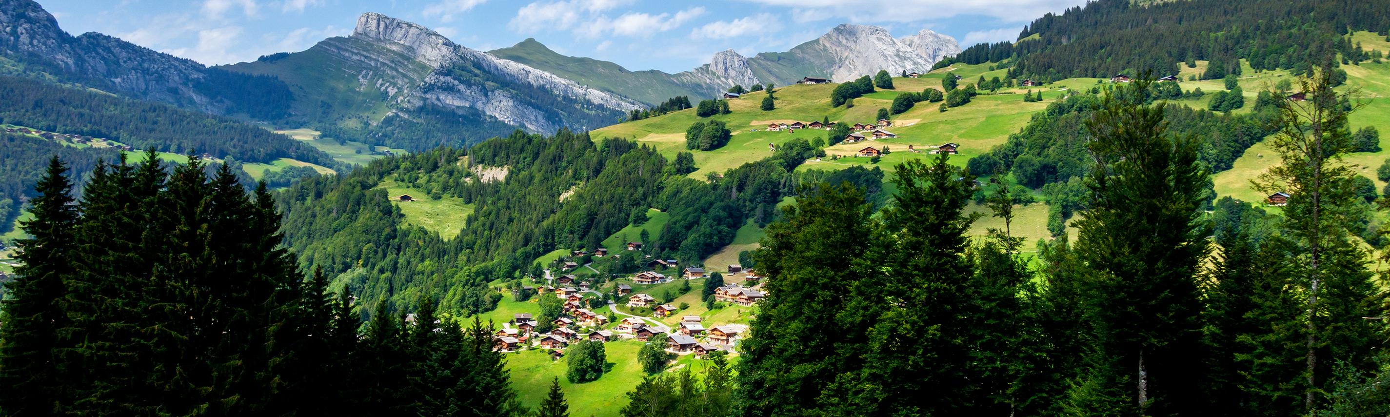 Panorama