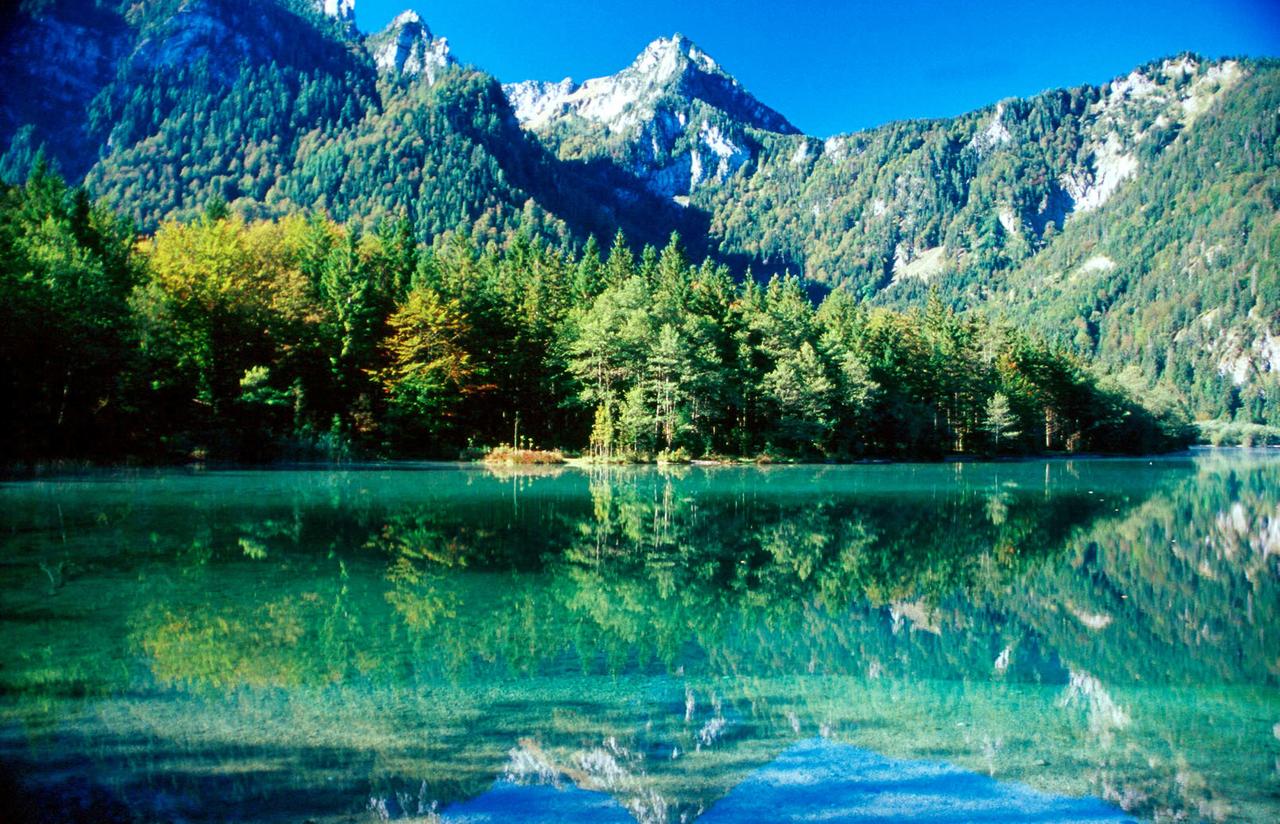 Bäume und Berge spiegeln sich in einem Alpensee