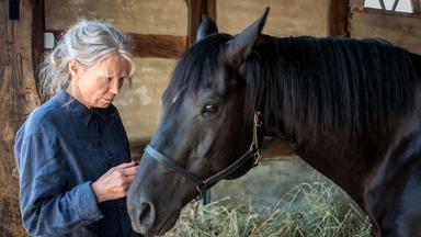 "Altes Land: Ankommen": Die alte Vera Eckhoff (Iris Berben) steht im Stall und streichelt ihren Rappen.