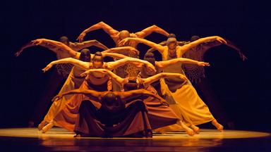 Ensemble in gelbes Bühnenlicht getaucht. Fächerförmig voreinander platziert. Die Arme seitlich wie Vogelschwingen