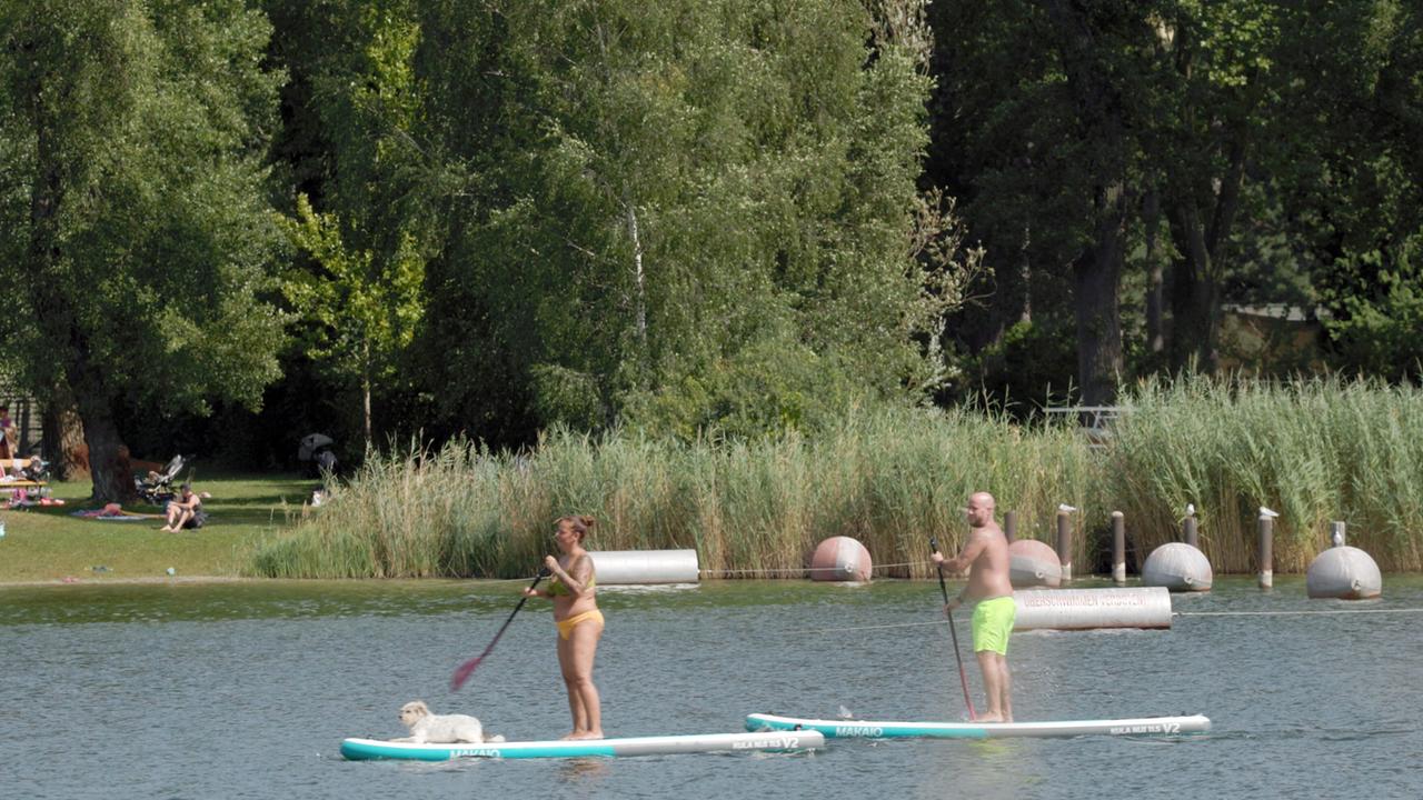 Standup Paddeln an der Alten Donau.