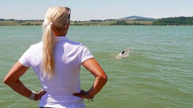 Yvonne van Vlerken war erfolgreiche Triathletin. Heute coacht sie junge Frauen abgestimmt auf ihren Zyklus.