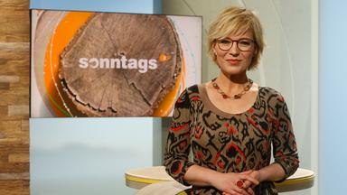 Andrea Ballschuh in der Studiodeko