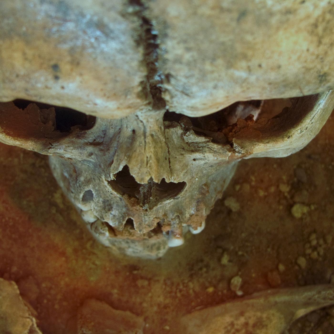 Ansicht von oben eines altertümlichen Schädels auf Erde