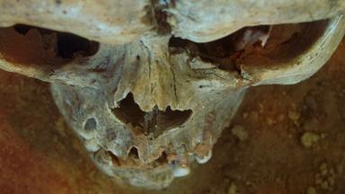 Ansicht von oben eines altertümlichen Schädels auf Erde