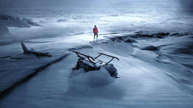 Arctic: In einer weiten, verschneiten Eislandschaft steht eine einzelne Person in roter Jacke zwischen den Wrackteilen eines Flugzeugs und eines Hubschraubers.