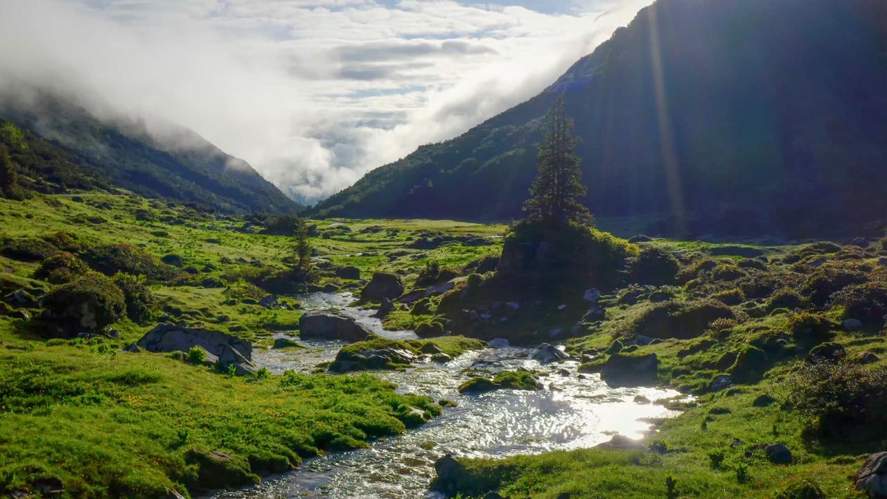 Die Landschaft zeigt einen fließenden Bach, umgeben von grünen Wiesen und Bäumen. Im Hintergrund erheben sich Berge, teilweise von Wolken umhüllt. Die Lichtverhältnisse sind variierend.