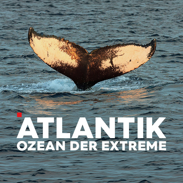 Atlantik – Ozean der Extreme Sendetypical