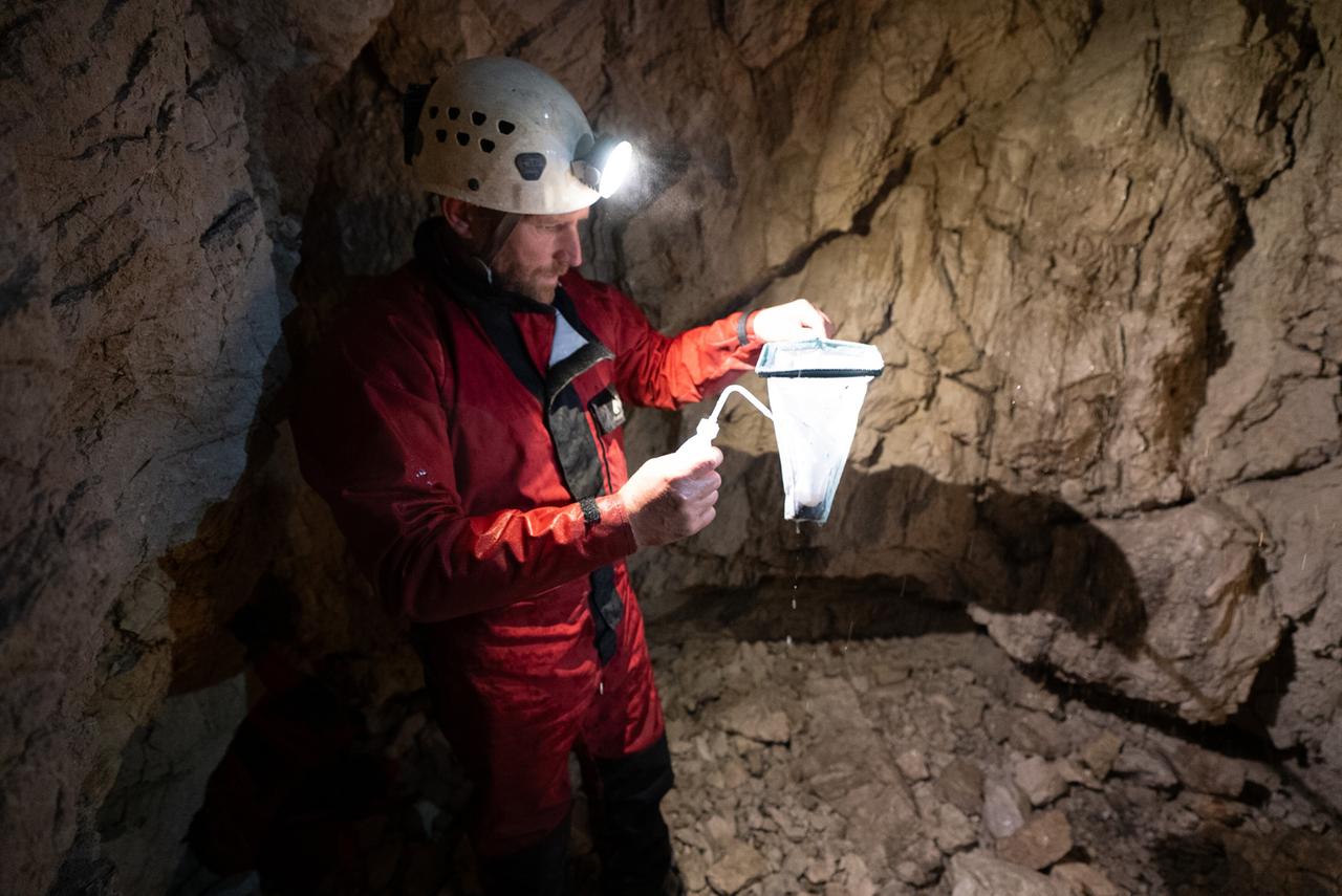 Das Bild zeigt einen männlichen Höhlenforscher, der in einer dunklen Höhle arbeitet. Er trägt einen weißen Helm mit einer Stirnlampe, die ihm Licht spendet. Seine Kleidung ist rot und besteht aus einem strapazierfähigen Material, passend für die Bedingungen in der Höhle.   In seiner rechten Hand hält er ein transparentes Netz, das an einem Rahmen befestigt ist, und scheint Wasser oder eine andere Flüssigkeit daraus zu entleeren. Die Höhle ist aus erkalteter Gesteinsmasse, die teilweise rau und uneben ist. Um den Forscher herum sind einige Steine und Erdkonturen sichtbar, die die natürliche Beschaffenheit der Höhle verdeutlichen.  Im Hintergrund ist die Höhlenwand zu sehen, die verschiedenfarbige Schattierungen aufweist, was auf unterschiedliche mineralische Zusammensetzungen hindeutet. Es herrscht eine insgesamt schummrige Atmosphäre, die durch das Licht des Helms etwas aufgehellt wird.