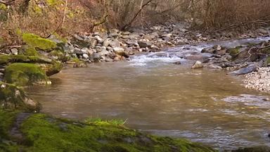Naturnahe Flusslandschaft mit moosbewachsenen Steinen und klarem Wasserlauf, umgeben von kahlen Bäumen und Geröll.