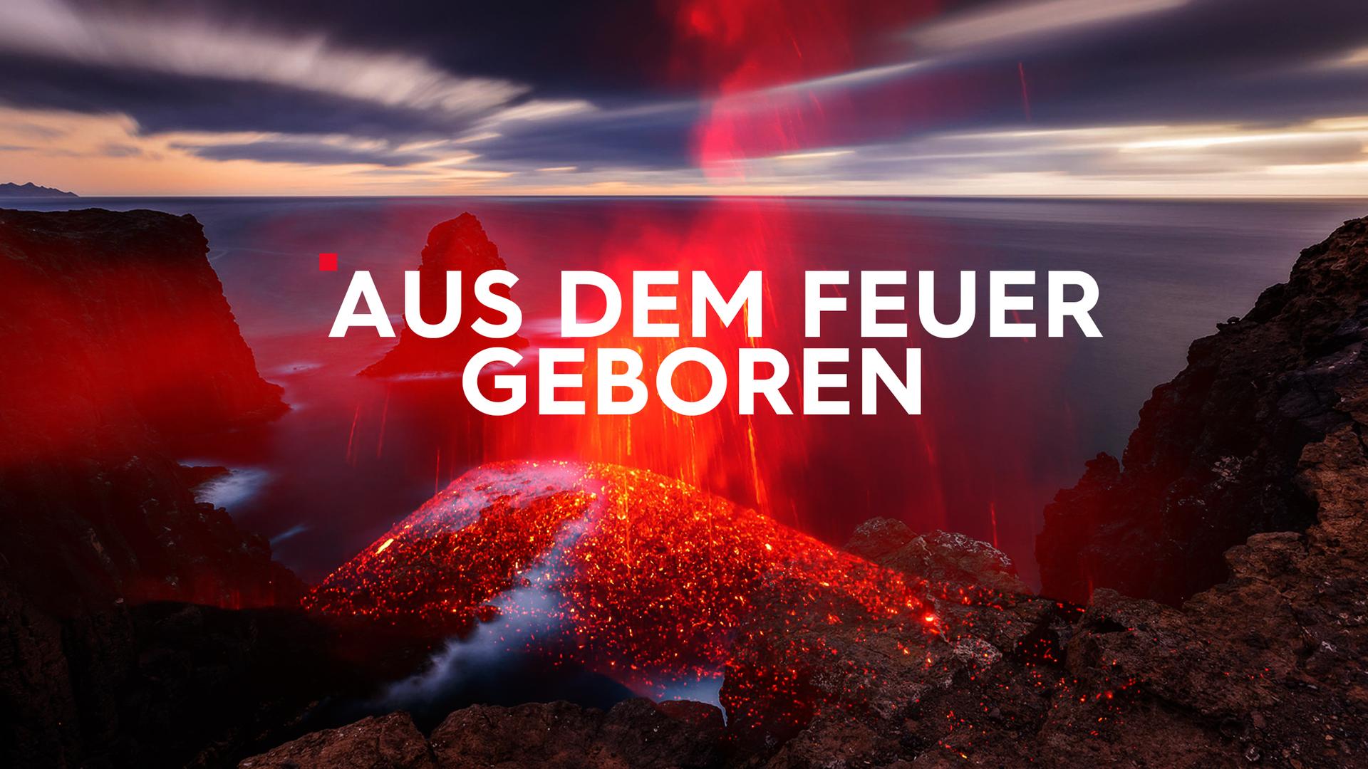 Aus dem Feuer geboren  Sendetypical 2400x1350 16zu9