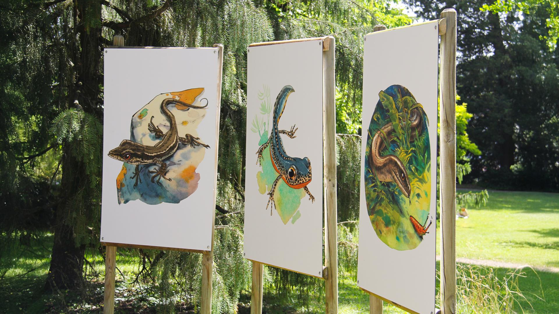In einem Park stehen drei Bilder mit Illustratioenn von Tieren.
