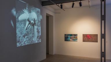 Videoprojektion mit huhnähnlichem Tier