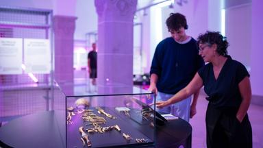 Ein junger Mann und eine Frau schauen auf ein Skelett in einem Schaukasten, das in einem Ausstellungsraum steht.