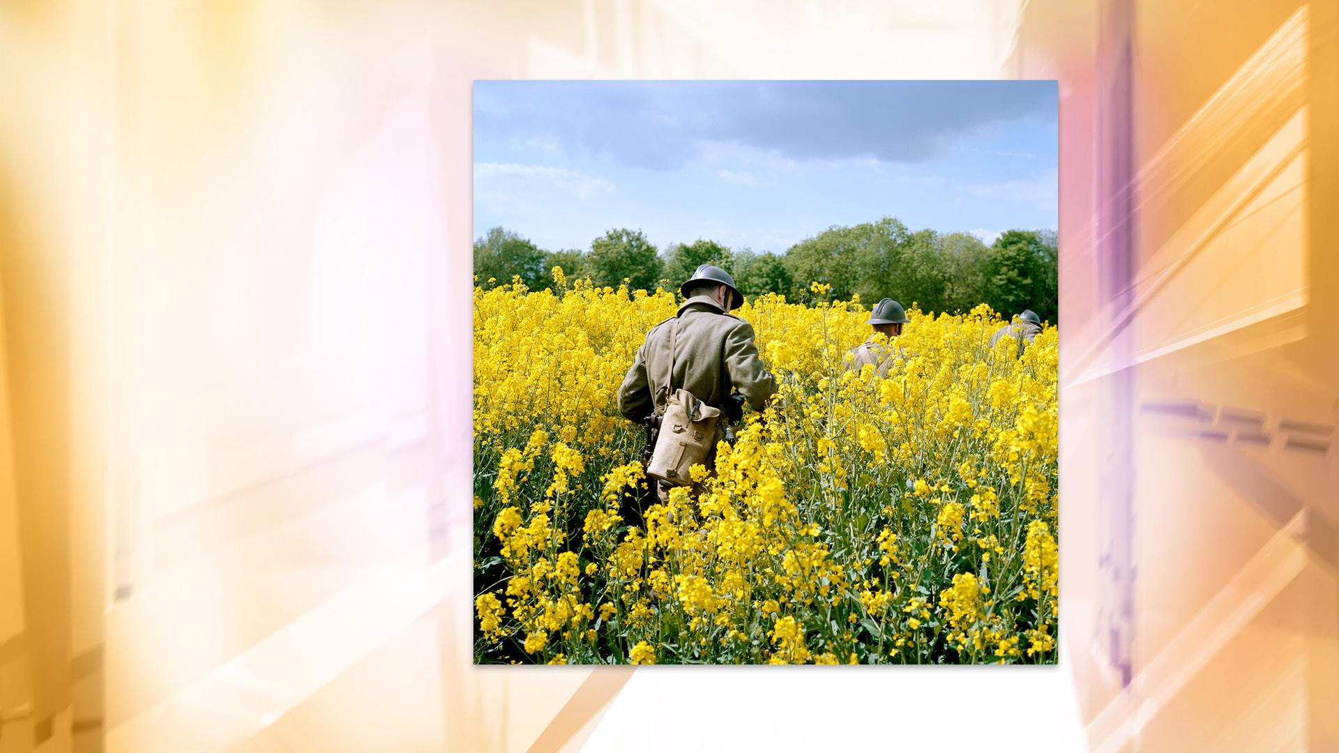Männer mit Uniformen aus dem zweiten Weltkrieg laufen durch ein Rapsfeld.