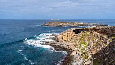 Blick über die felsige Küste von Cape du Couedic auf Kangoroo Island. Steile, helle Felsen ragen in den tiefblauen Ozean, an ihren Rändern liegt grüne Vegetation.