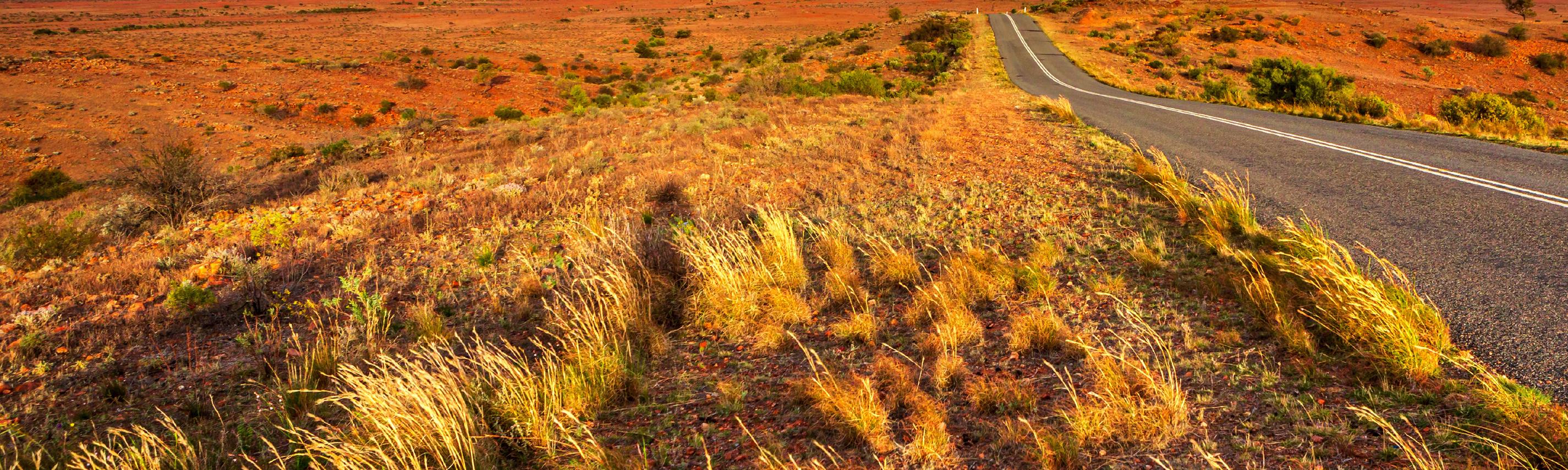 Australiens Wildnis Sendebereich Hintergrund 2850x855