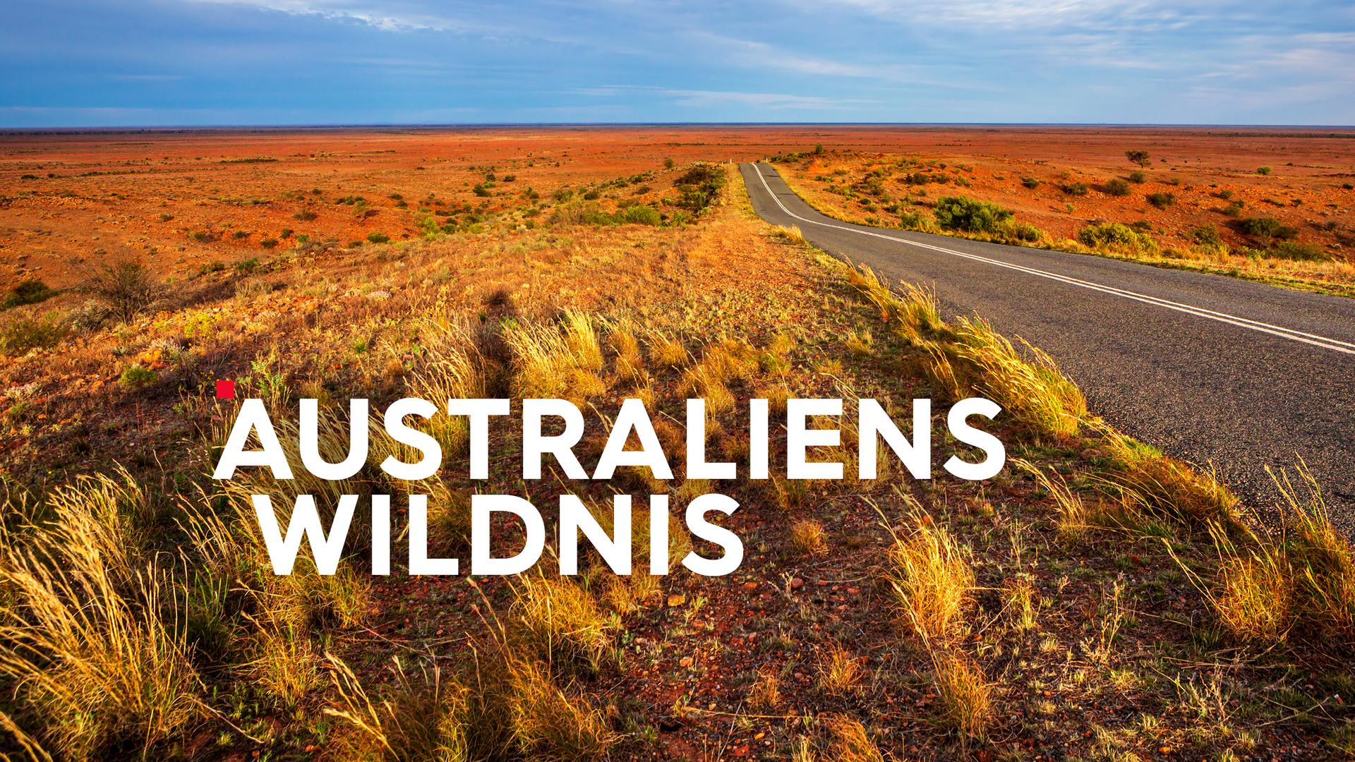 australiens-wildnis-sendetypical-2400x1350-16zu9