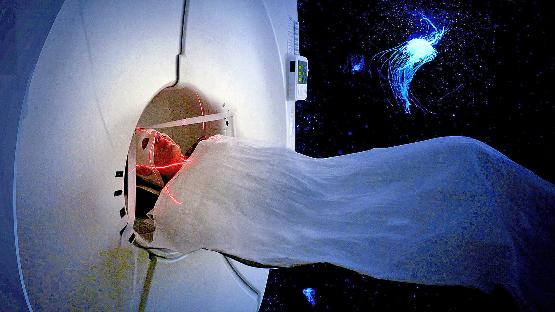 Aware - Reise in das Bewusstsein