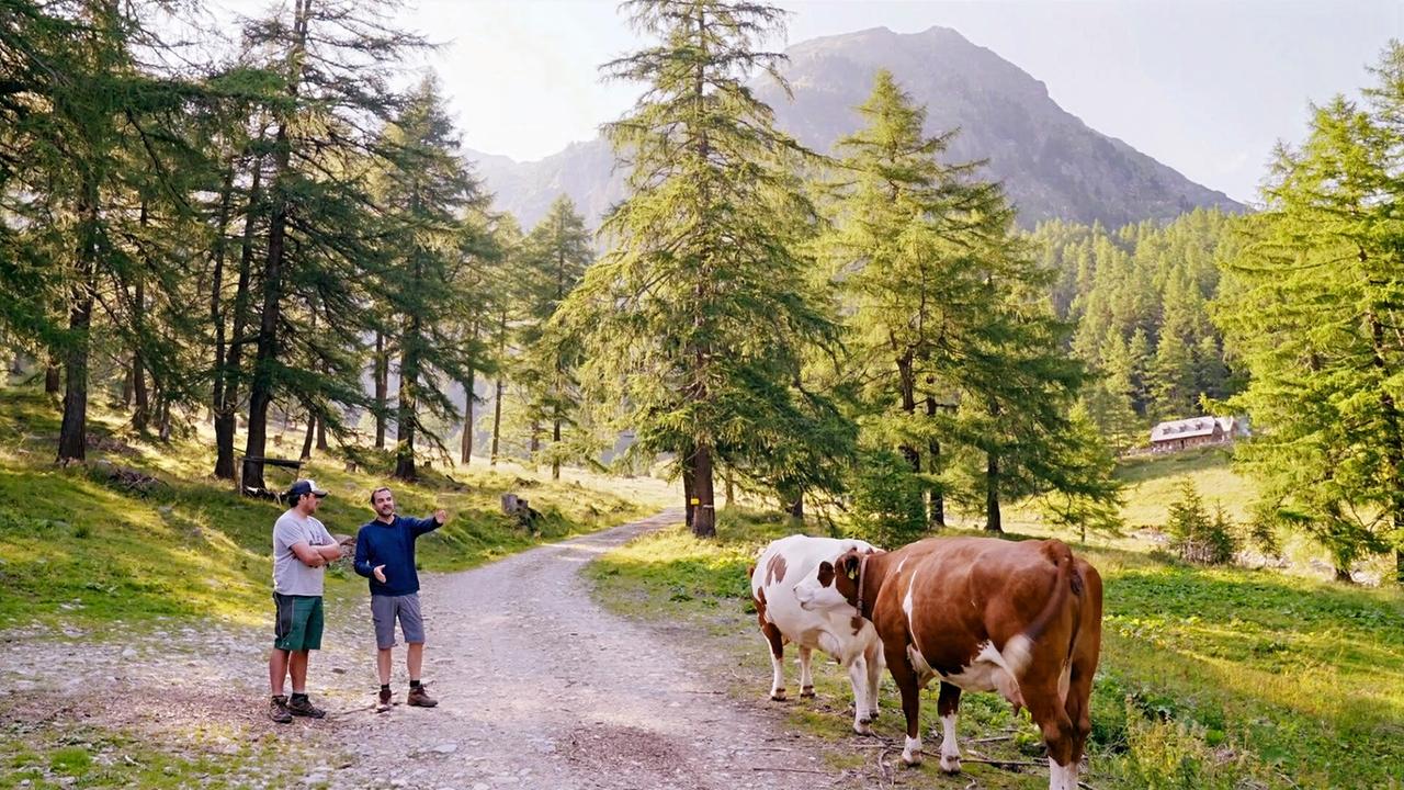 Zwei Männer stehen auf einem Waldweg inmitten einer alpinen Landschaft und unterhalten sich, während zwei Kühe in der Nähe grasen; im Hintergrund sind ein Berghang, ein Wald und eine Almhütte zu sehen.