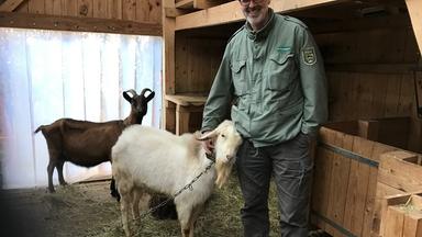 Förster Peter Wohlleben mit zwei Ziegen.